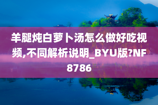 羊腿炖白萝卜汤怎么做好吃视频,不同解析说明_BYU版?NF8786