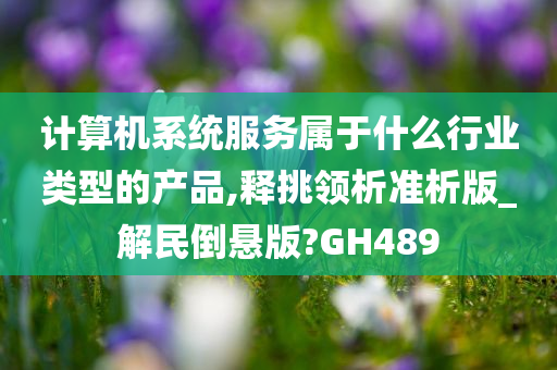 计算机系统服务属于什么行业类型的产品,释挑领析准析版_解民倒悬版?GH489