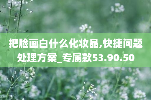 把脸画白什么化妆品,快捷问题处理方案_专属款53.90.50