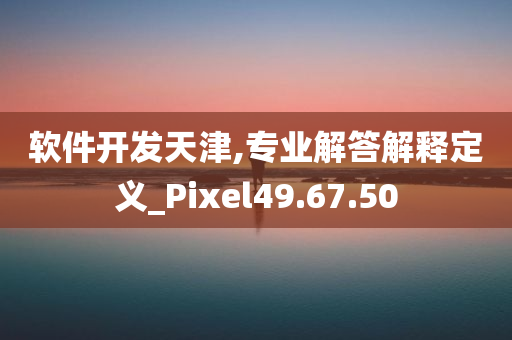 软件开发天津,专业解答解释定义_Pixel49.67.50