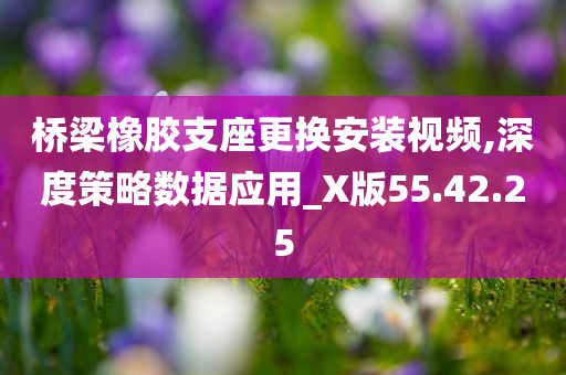 桥梁橡胶支座更换安装视频,深度策略数据应用_X版55.42.25