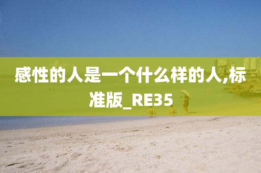 感性的人是一个什么样的人,标准版_RE35