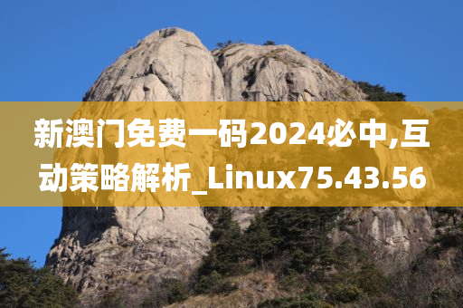 新澳门免费一码2024必中,互动策略解析_Linux75.43.56