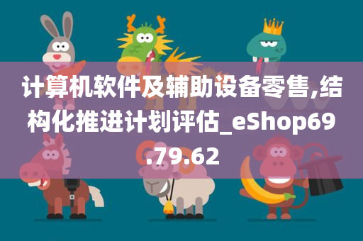 计算机软件及辅助设备零售,结构化推进计划评估_eShop69.79.62