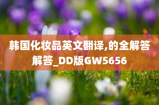 韩国化妆品英文翻译,的全解答解答_DD版GW5656