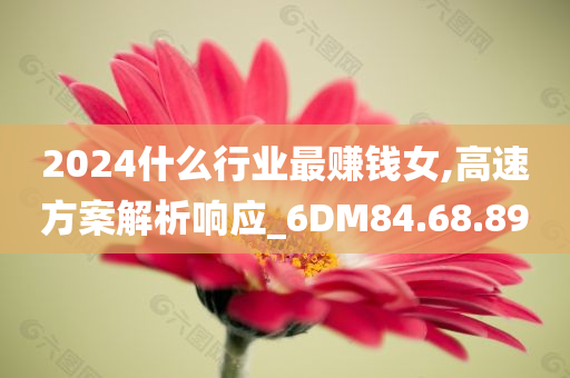 2024什么行业最赚钱女,高速方案解析响应_6DM84.68.89