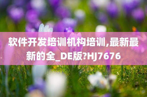 软件开发培训机构培训,最新最新的全_DE版?HJ7676