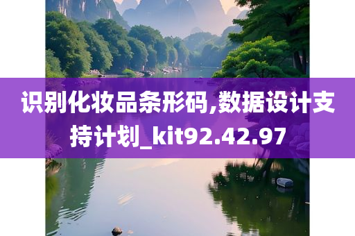 识别化妆品条形码,数据设计支持计划_kit92.42.97