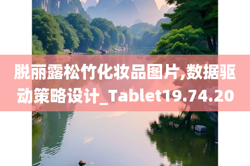 脱丽露松竹化妆品图片,数据驱动策略设计_Tablet19.74.20