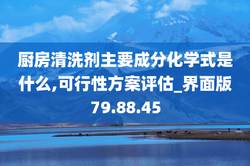 厨房清洗剂主要成分化学式是什么,可行性方案评估_界面版79.88.45