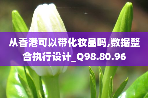 从香港可以带化妆品吗,数据整合执行设计_Q98.80.96