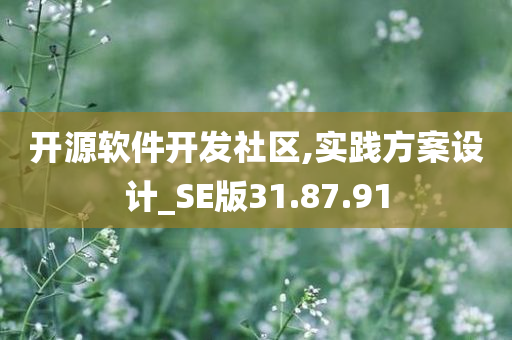 开源软件开发社区,实践方案设计_SE版31.87.91