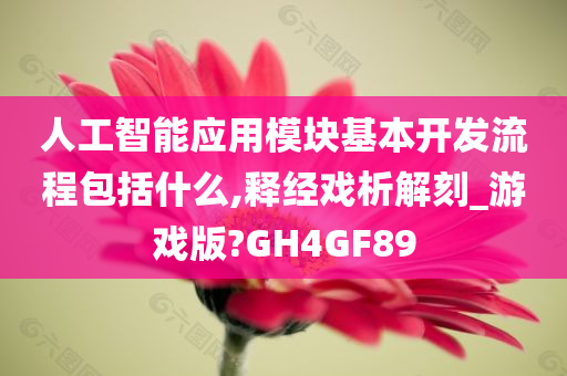 人工智能应用模块基本开发流程包括什么,释经戏析解刻_游戏版?GH4GF89