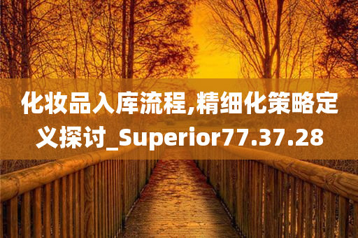 化妆品入库流程,精细化策略定义探讨_Superior77.37.28