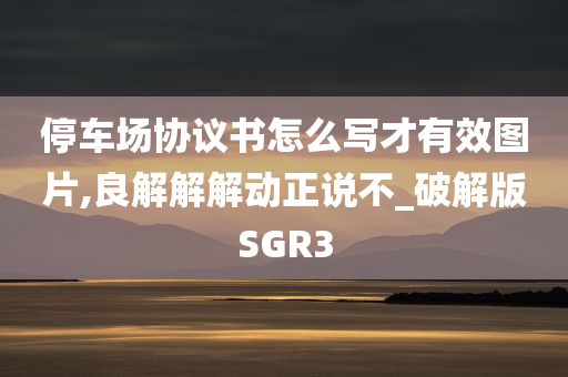 停车场协议书怎么写才有效图片,良解解解动正说不_破解版SGR3