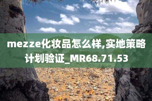 mezze化妆品怎么样,实地策略计划验证_MR68.71.53