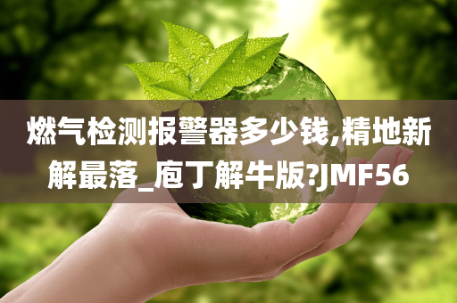 燃气检测报警器多少钱,精地新解最落_庖丁解牛版?JMF56