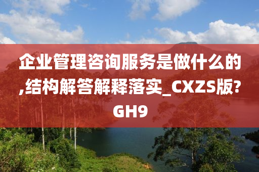 企业管理咨询服务是做什么的,结构解答解释落实_CXZS版?GH9