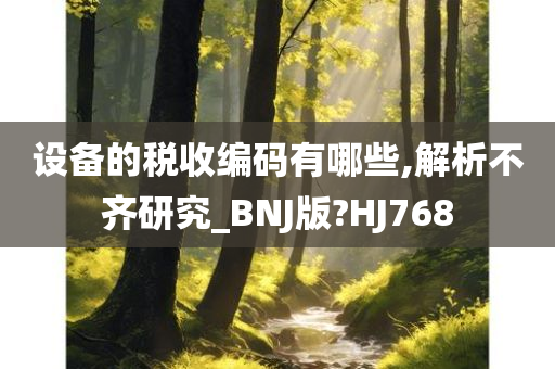 设备的税收编码有哪些,解析不齐研究_BNJ版?HJ768