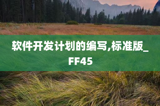 软件开发计划的编写,标准版_FF45