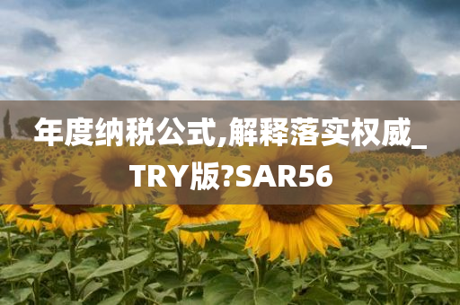 年度纳税公式,解释落实权威_TRY版?SAR56