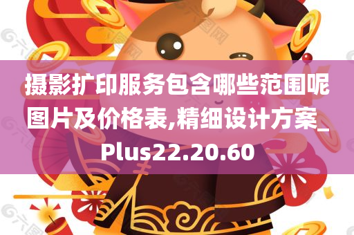 摄影扩印服务包含哪些范围呢图片及价格表,精细设计方案_Plus22.20.60