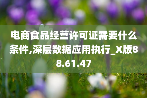 电商食品经营许可证需要什么条件,深层数据应用执行_X版88.61.47