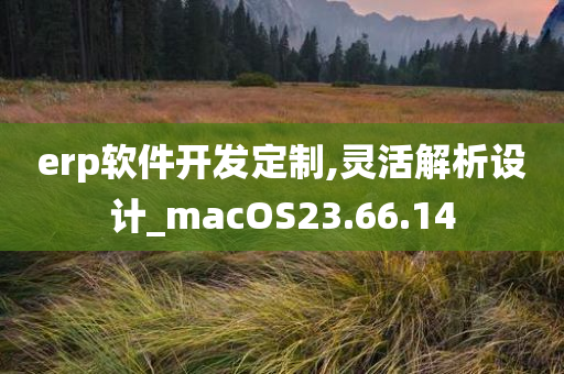 erp软件开发定制,灵活解析设计_macOS23.66.14