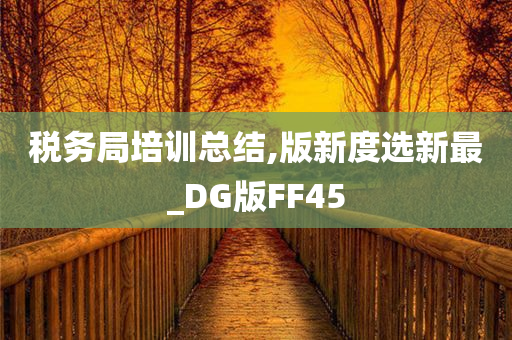 税务局培训总结,版新度选新最_DG版FF45