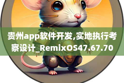 贵州app软件开发,实地执行考察设计_RemixOS47.67.70