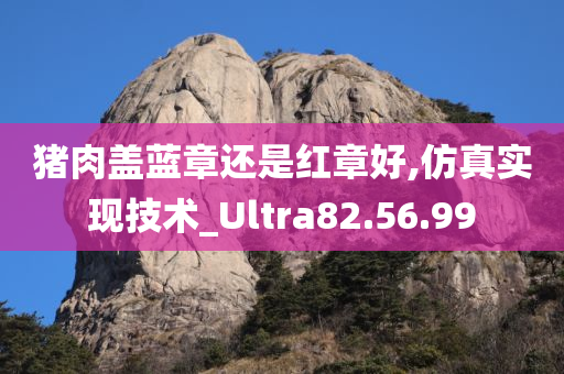 猪肉盖蓝章还是红章好,仿真实现技术_Ultra82.56.99