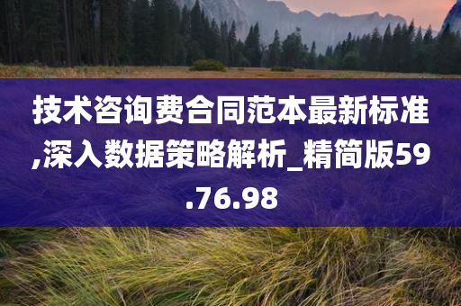 技术咨询费合同范本最新标准,深入数据策略解析_精简版59.76.98