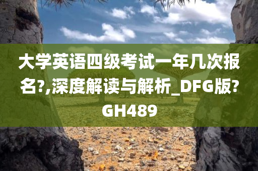 大学英语四级考试一年几次报名?,深度解读与解析_DFG版?GH489