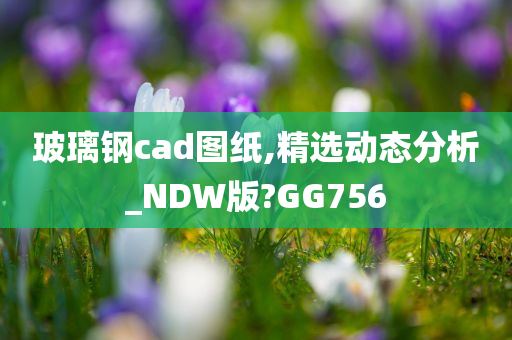 玻璃钢cad图纸,精选动态分析_NDW版?GG756