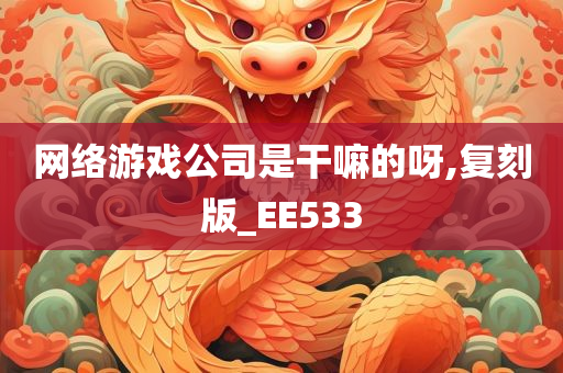 网络游戏公司是干嘛的呀,复刻版_EE533