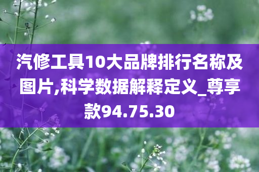 汽修工具10大品牌排行名称及图片,科学数据解释定义_尊享款94.75.30