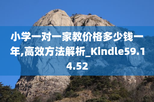 小学一对一家教价格多少钱一年,高效方法解析_Kindle59.14.52