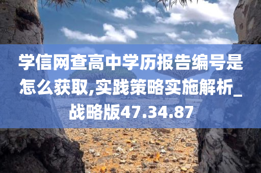 学信网查高中学历报告编号是怎么获取,实践策略实施解析_战略版47.34.87