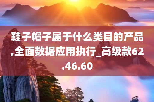 鞋子帽子属于什么类目的产品,全面数据应用执行_高级款62.46.60