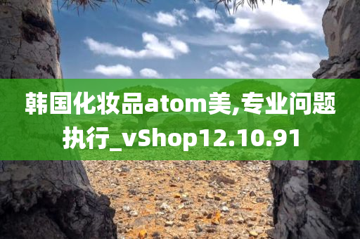 韩国化妆品atom美,专业问题执行_vShop12.10.91