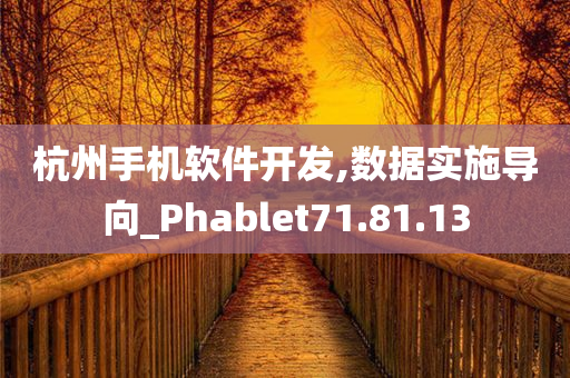 杭州手机软件开发,数据实施导向_Phablet71.81.13