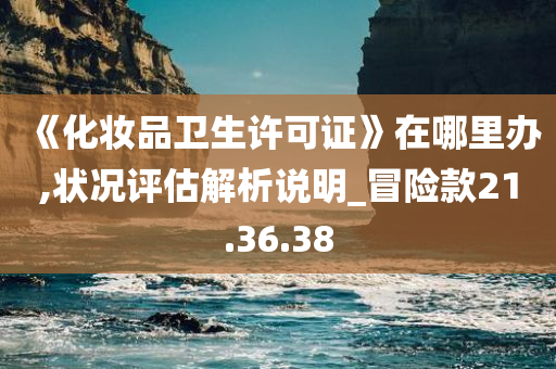 《化妆品卫生许可证》在哪里办,状况评估解析说明_冒险款21.36.38