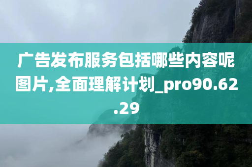 广告发布服务包括哪些内容呢图片,全面理解计划_pro90.62.29