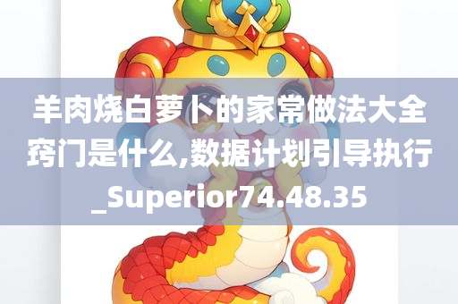 羊肉烧白萝卜的家常做法大全窍门是什么,数据计划引导执行_Superior74.48.35