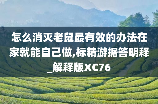 怎么消灭老鼠最有效的办法在家就能自己做,标精游据答明释_解释版XC76