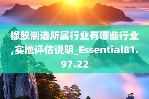 橡胶制造所属行业有哪些行业,实地评估说明_Essential81.97.22