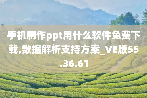 手机制作ppt用什么软件免费下载,数据解析支持方案_VE版55.36.61