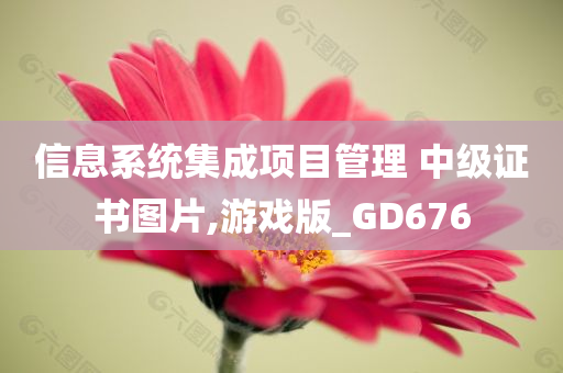 信息系统集成项目管理 中级证书图片,游戏版_GD676