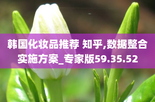 韩国化妆品推荐 知乎,数据整合实施方案_专家版59.35.52