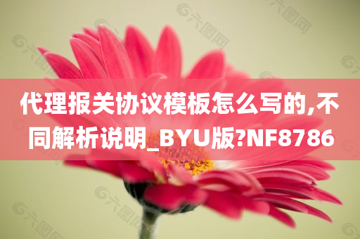 代理报关协议模板怎么写的,不同解析说明_BYU版?NF8786